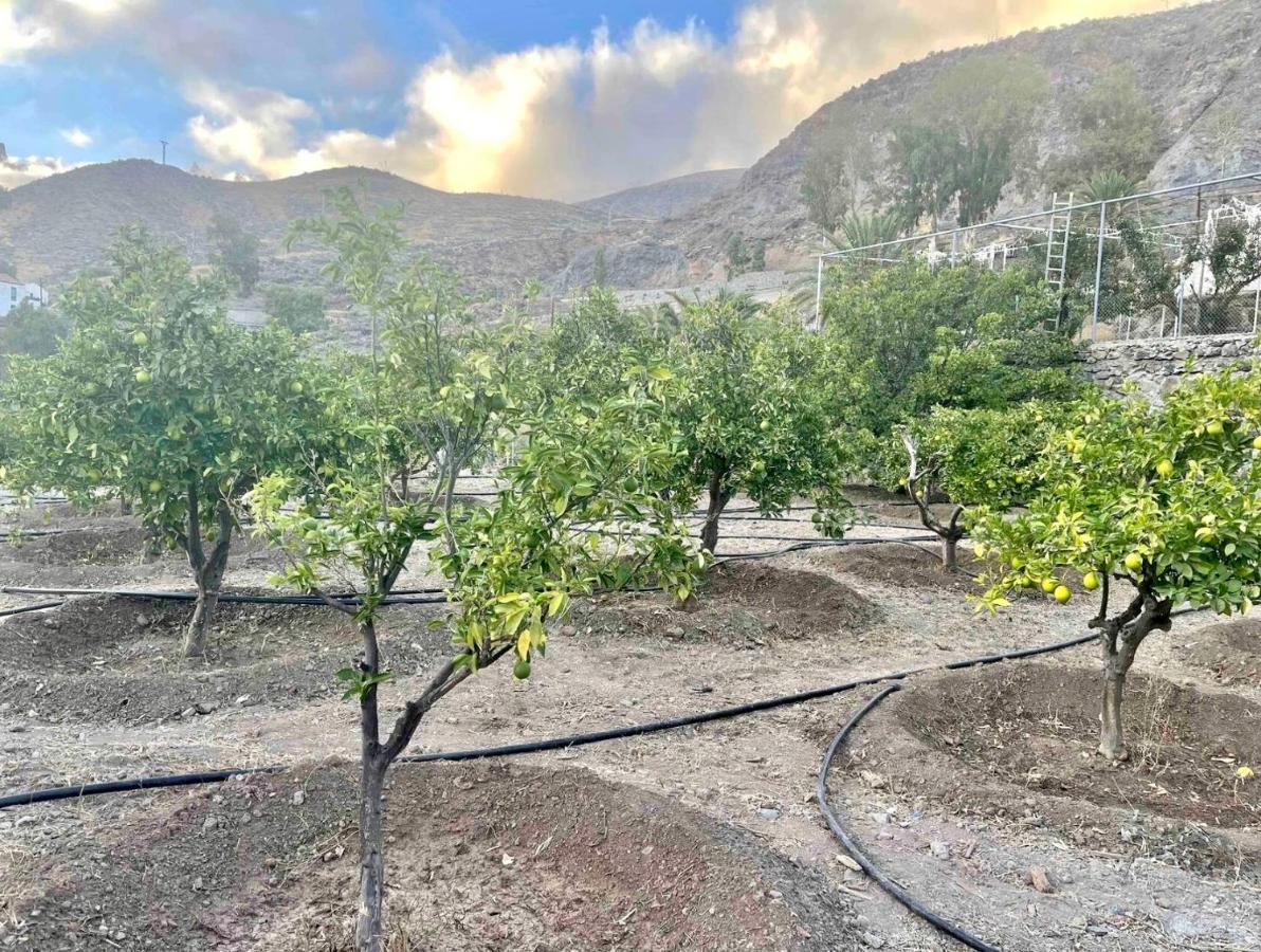 Santa Lucia Casa Rural La Limera Con Piscina Privada מראה חיצוני תמונה